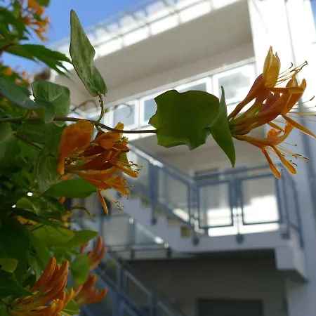 Zum Hafen Objekt Id 12136 Apartment Waren (Müritz)